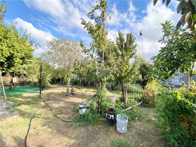 a view of a park with plants and trees