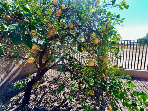 $2,400 | 14313 West Alvarado Drive, Goodyear, AZ 85395