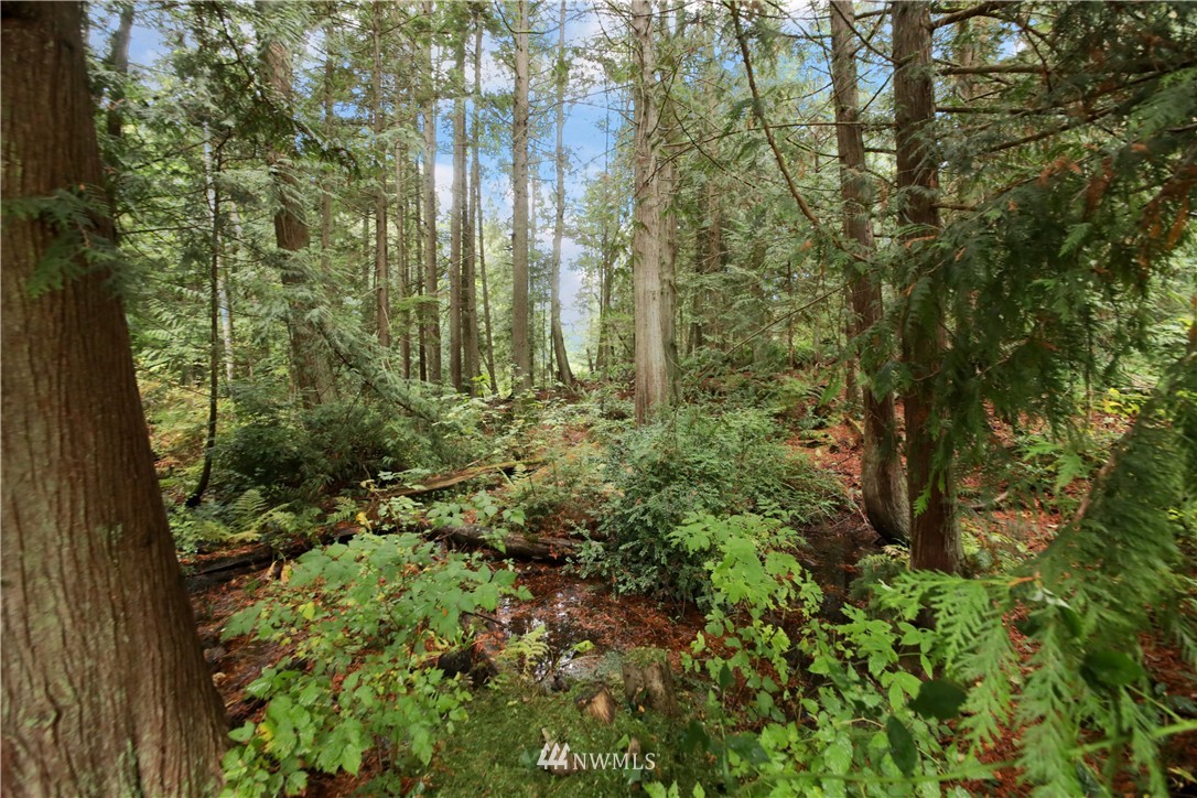 4221 Timberline Road Clinton, WA 98236 - Photo 29 of 38 Gallery Image 29