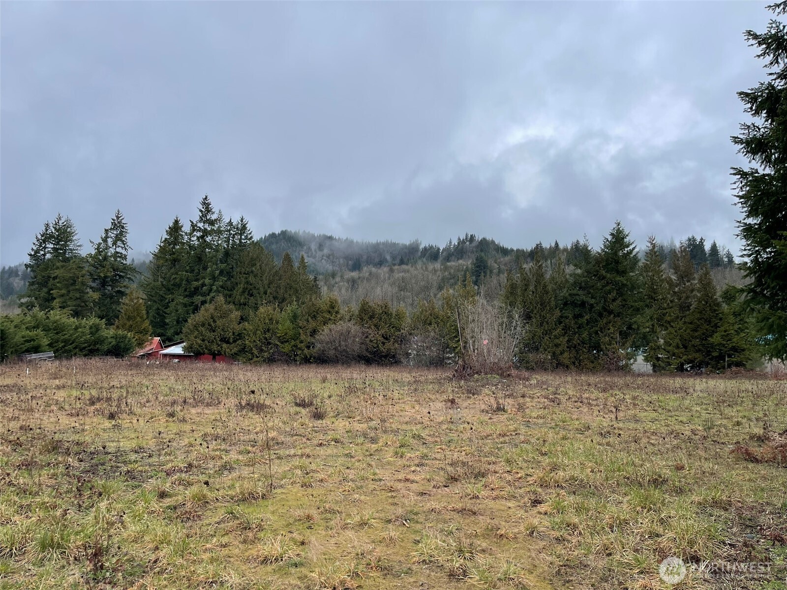 45075 Cedar Street Concrete, WA 98237 - Photo 9 of 18