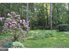 25710 Cave Neck Road Milton, DE 19968 - Photo 15 of 18 Gallery Image 15