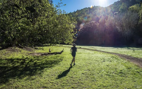 $1,395,000 | 142 Dominga Avenue, Fairfax, CA 94930