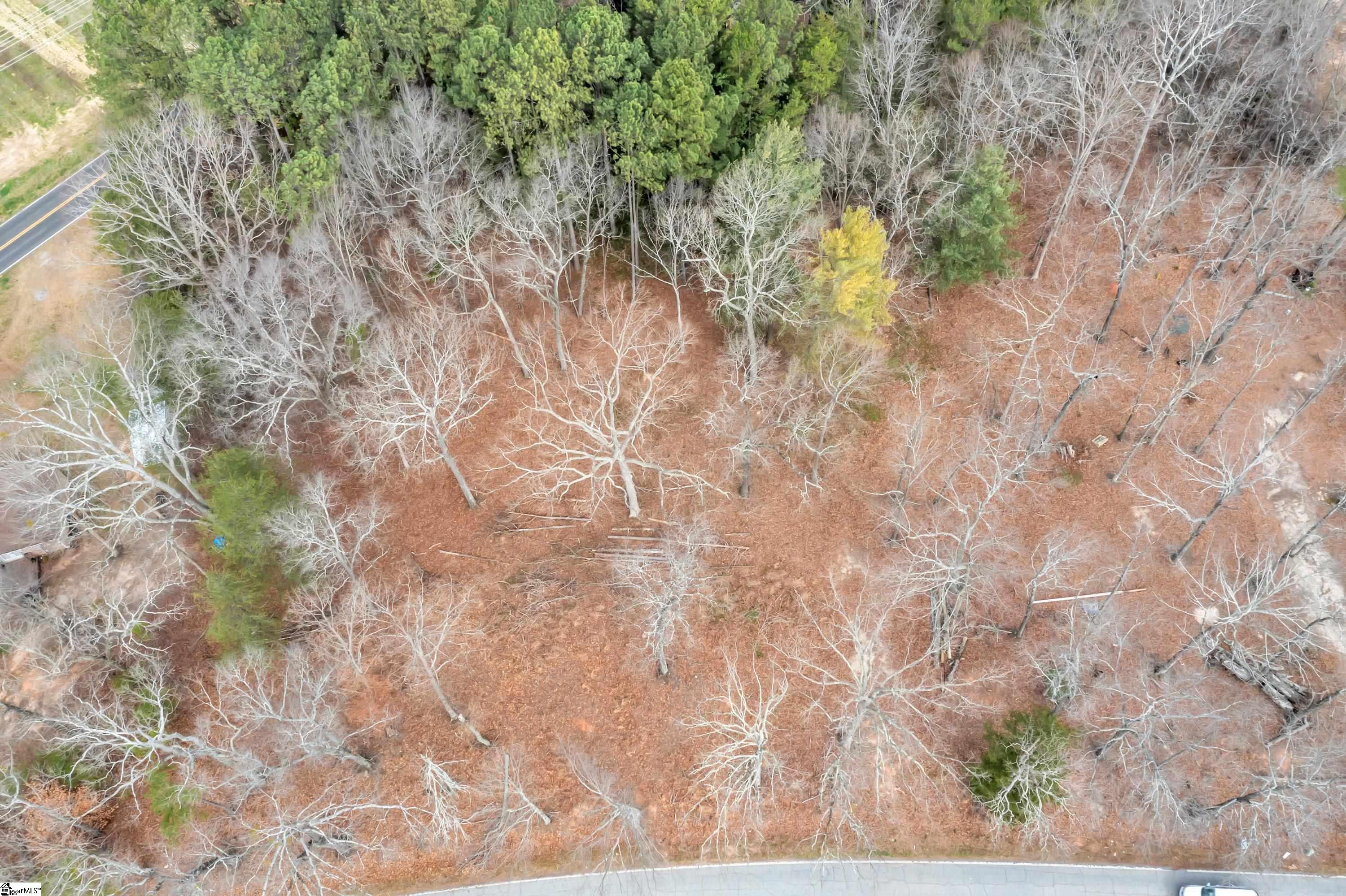 1116 Berry Shoals Road Greer, SC 29651 - Photo 31 of 32 Gallery Image 31