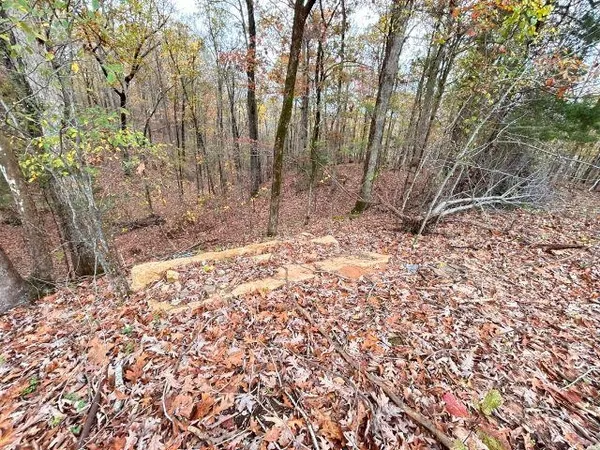 $13,900 | 735 Grand Valley Drive, Saulsbury, TN 38067