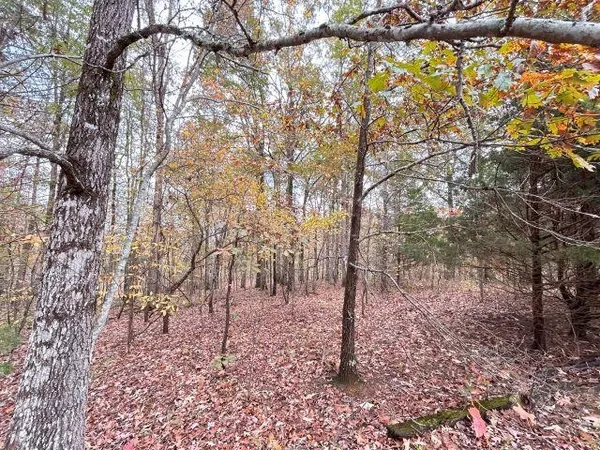 $13,900 | 735 Grand Valley Drive, Saulsbury, TN 38067