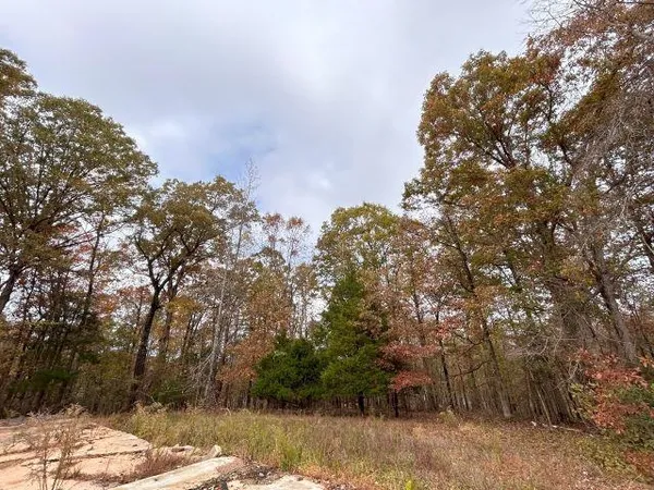 $13,900 | 735 Grand Valley Drive, Saulsbury, TN 38067