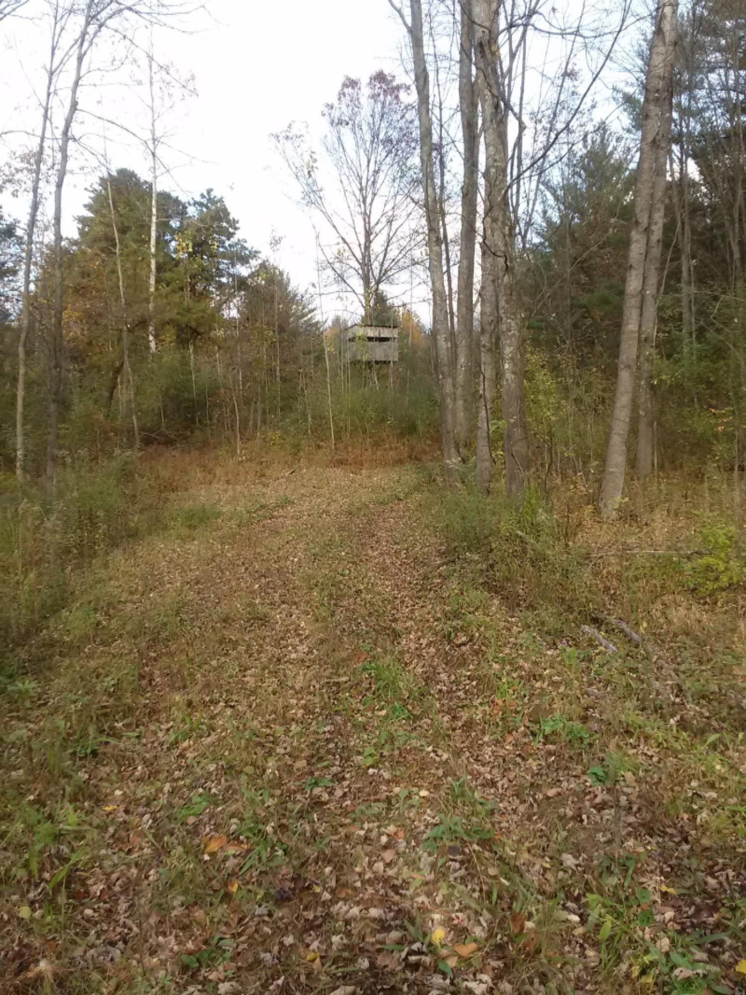 Arthur Road Rothbury, MI 49452 - Photo 8 of 22 045 (18)