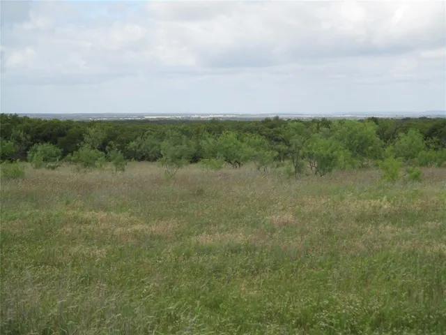 a view of a field with trees in background