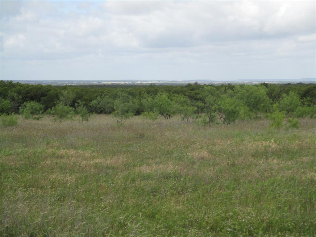 13-ac Elenburg Road Perrin, TX 76486 - Photo 2 of 8 a view of a field with trees in background