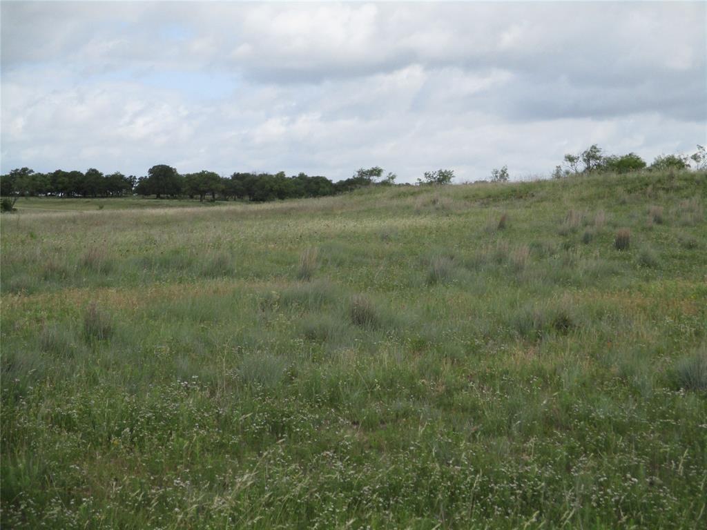 13-ac Elenburg Road Perrin, TX 76486 - Photo 3 of 8 a view of a lake with houses in the back
