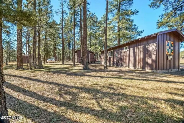 a view of outdoor space with garden and trees