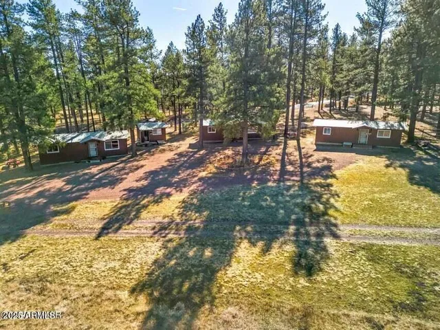a view of yard with tree