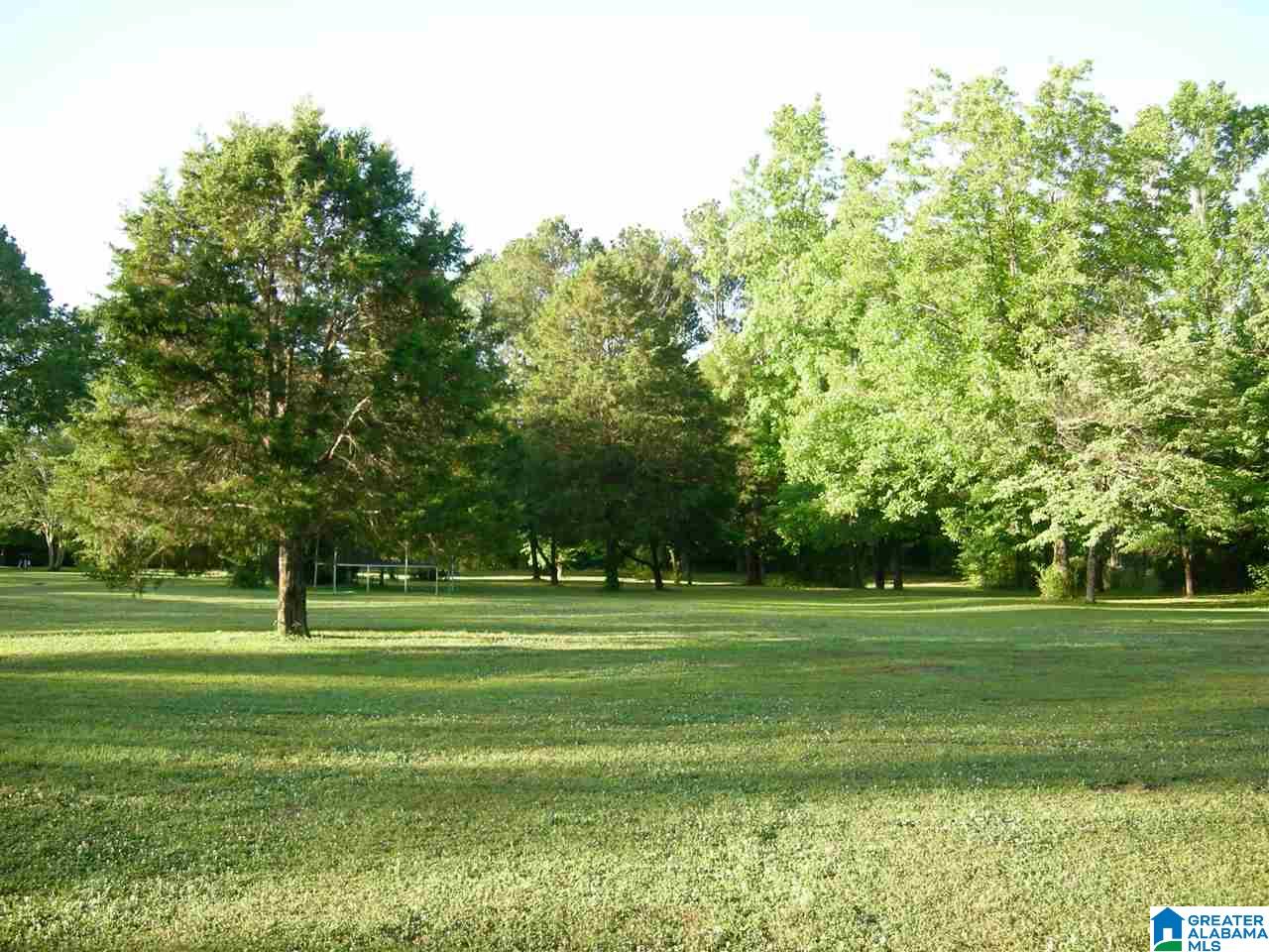 8720 Bradford Trafford Road Pinson, AL 35126 - Photo 20 of 20