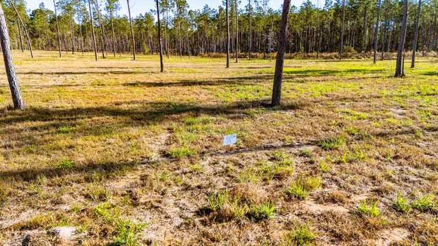 a view of an ocean beach