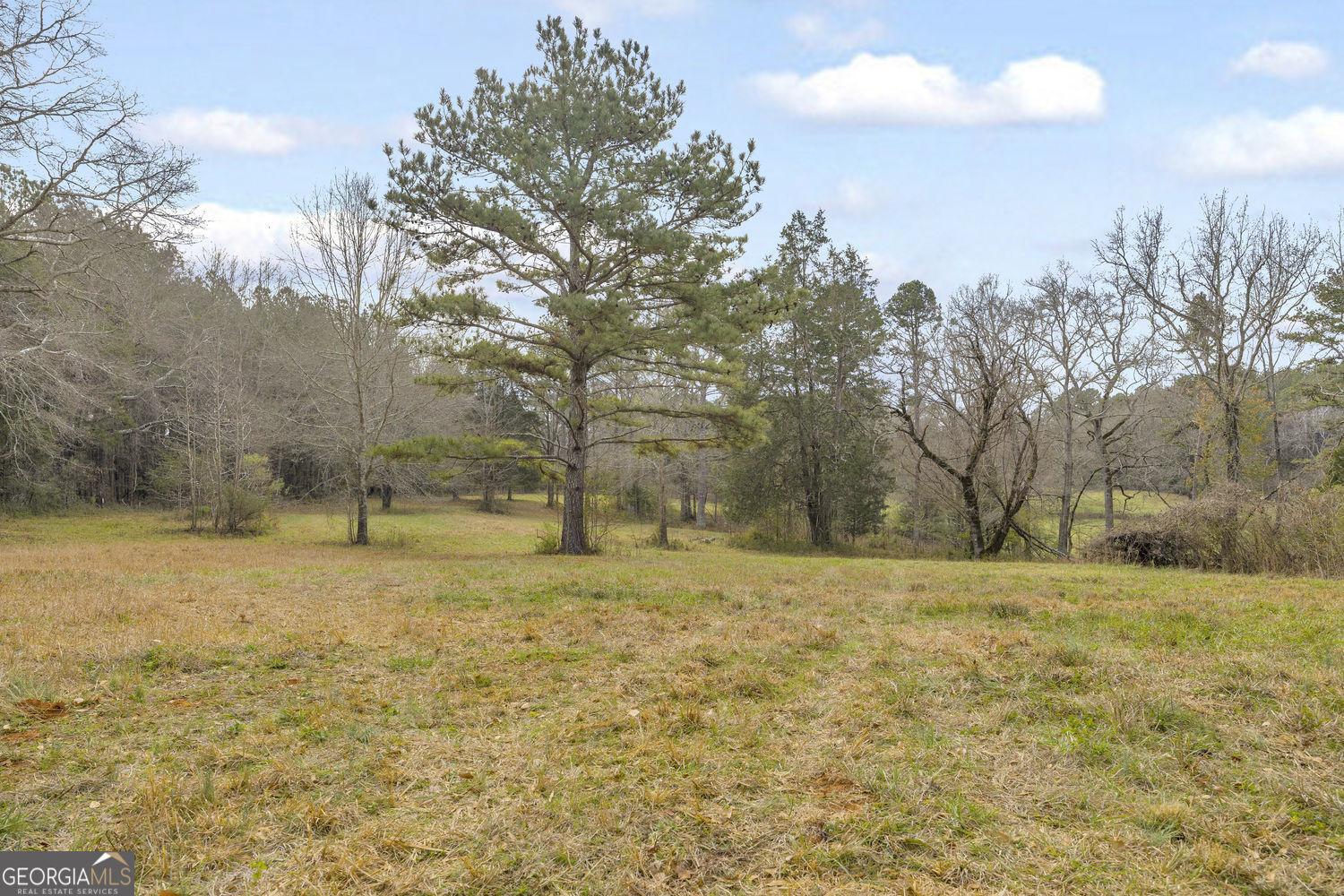 2460 Antioch Church Road Watkinsville, GA 30677 - Photo 27 of 42