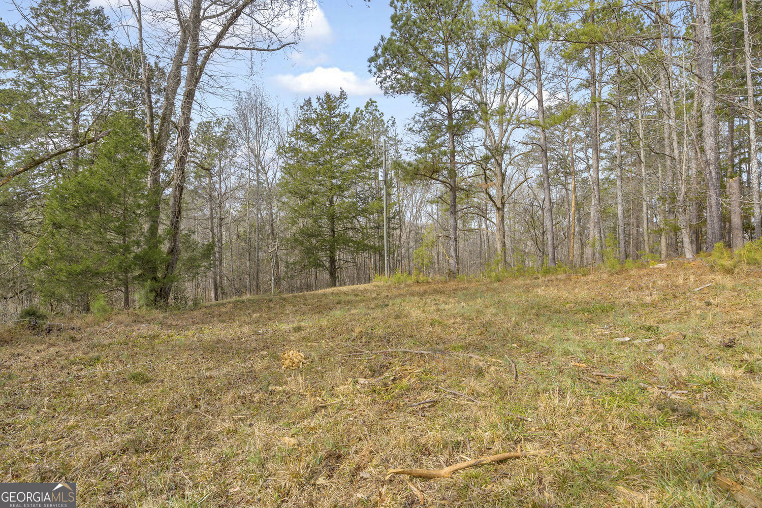 2460 Antioch Church Road Watkinsville, GA 30677 - Photo 28 of 42