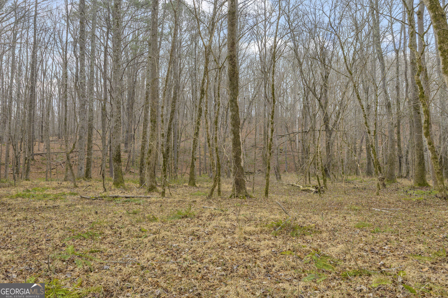 2460 Antioch Church Road Watkinsville, GA 30677 - Photo 30 of 42