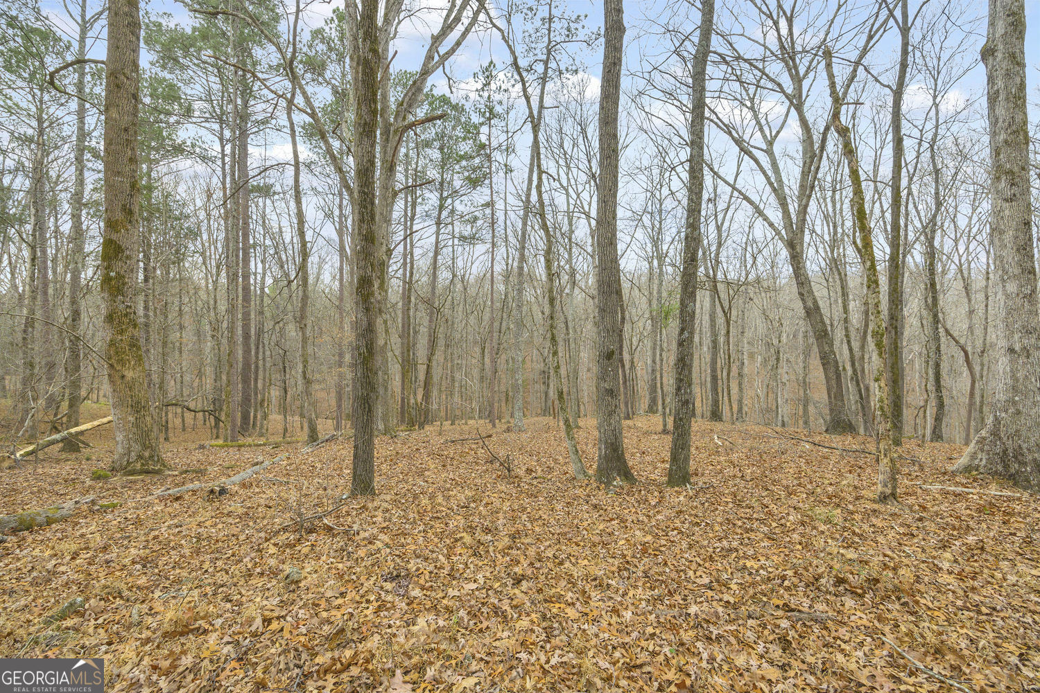 2460 Antioch Church Road Watkinsville, GA 30677 - Photo 31 of 42