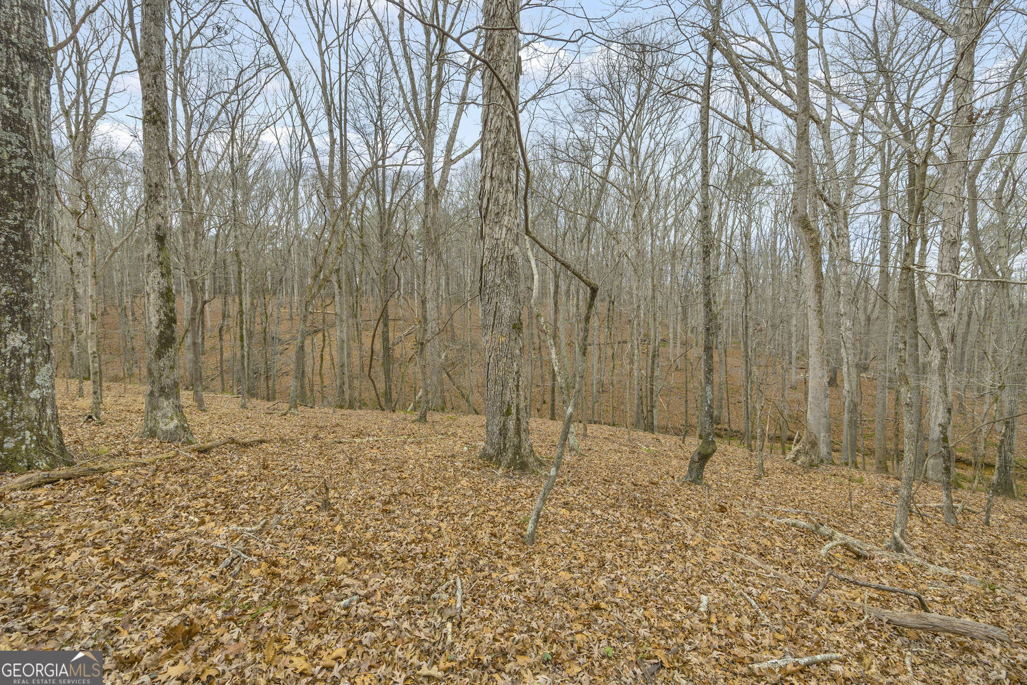 2460 Antioch Church Road Watkinsville, GA 30677 - Photo 32 of 42