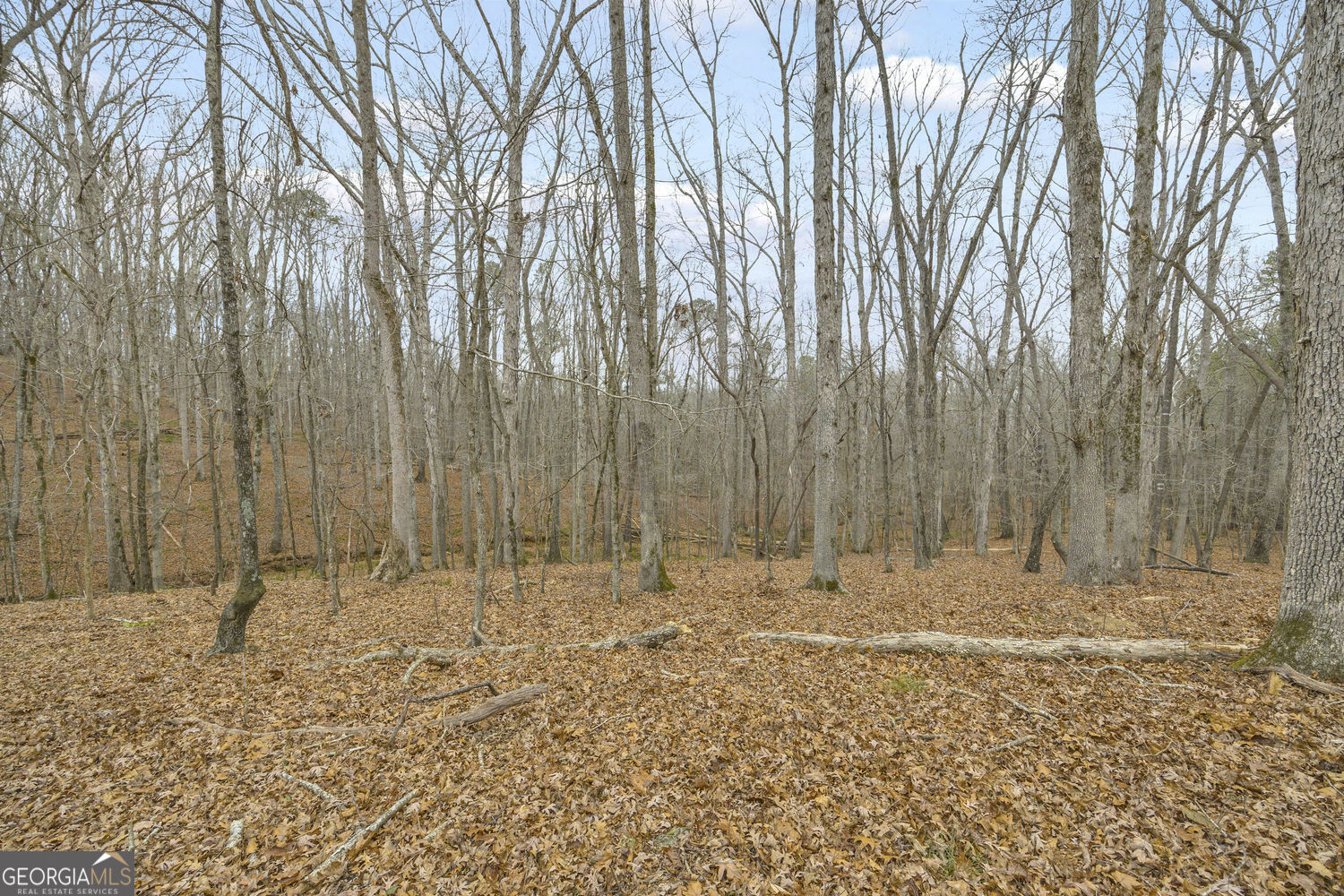 2460 Antioch Church Road Watkinsville, GA 30677 - Photo 33 of 42