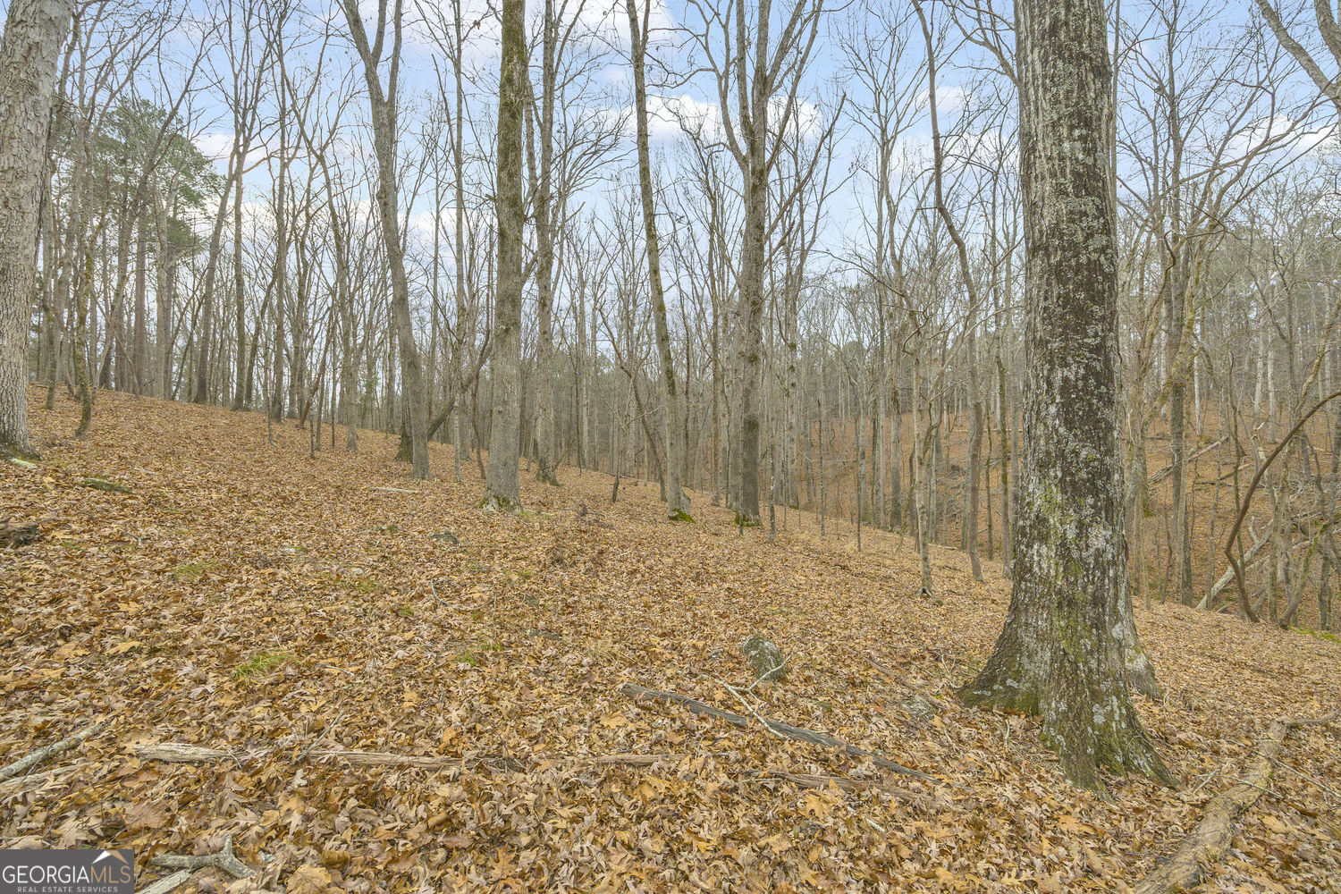 2460 Antioch Church Road Watkinsville, GA 30677 - Photo 34 of 42