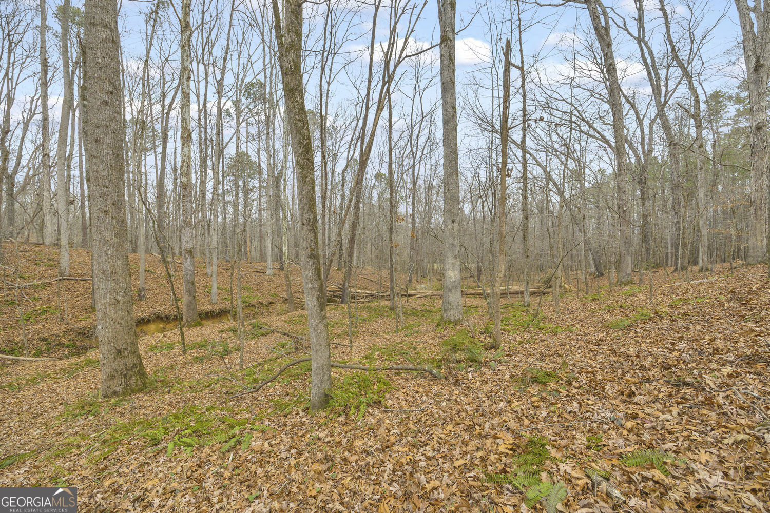 2460 Antioch Church Road Watkinsville, GA 30677 - Photo 35 of 42