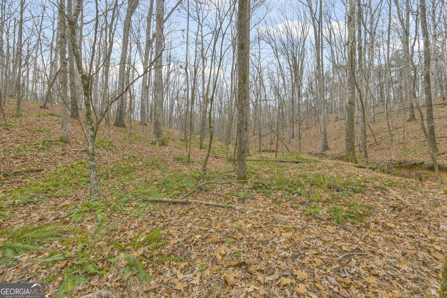 2460 Antioch Church Road Watkinsville, GA 30677 - Photo 36 of 42