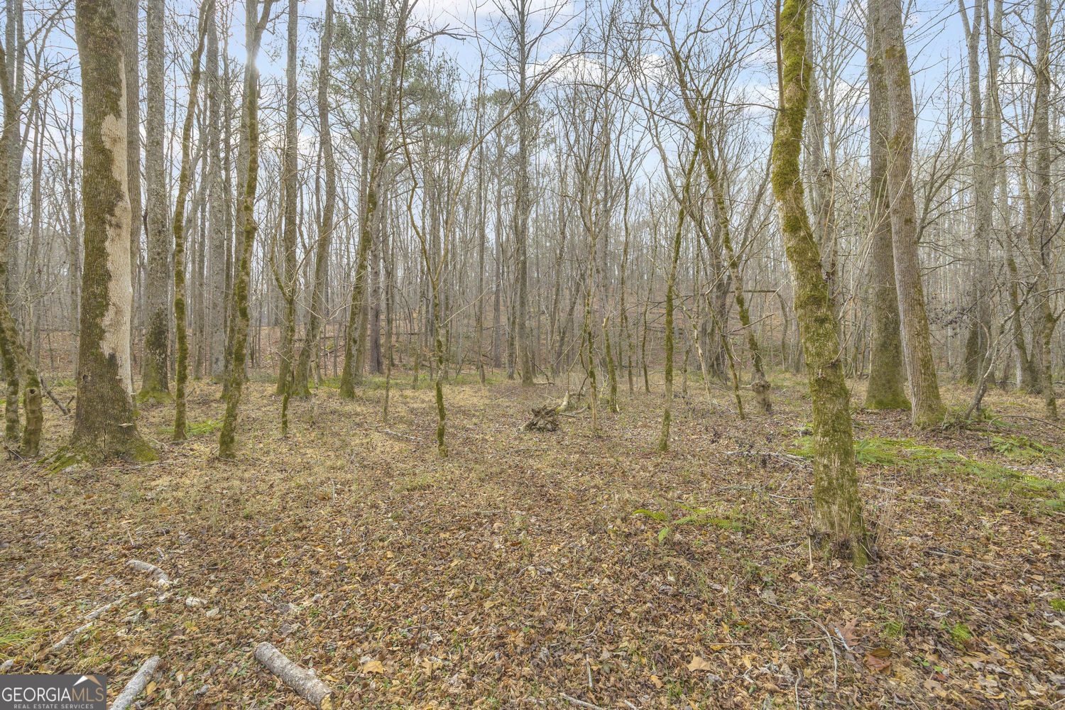 2460 Antioch Church Road Watkinsville, GA 30677 - Photo 37 of 42