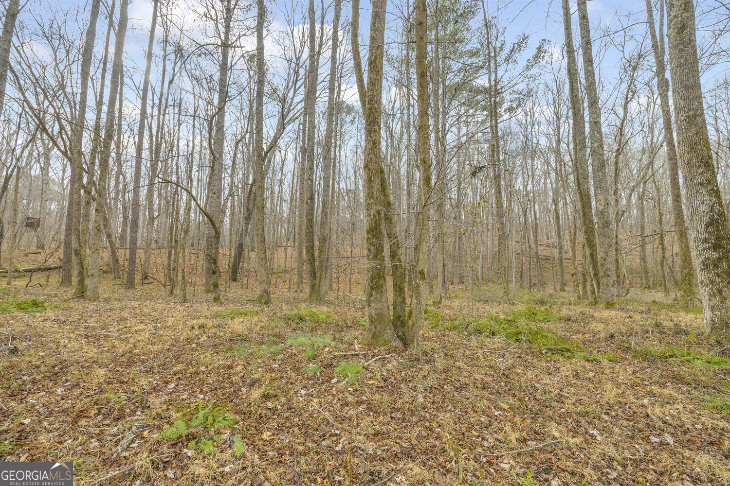 2460 Antioch Church Road Watkinsville, GA 30677 - Photo 38 of 42