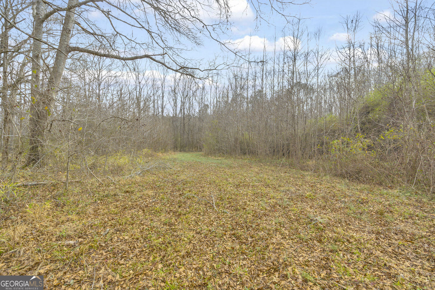 2460 Antioch Church Road Watkinsville, GA 30677 - Photo 39 of 42