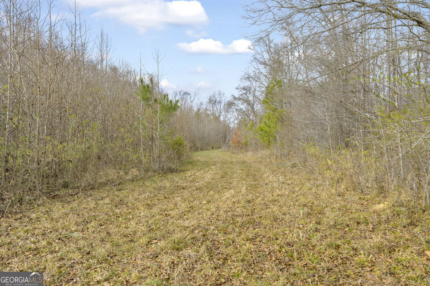 2460 Antioch Church Road Watkinsville, GA 30677 - Photo 40 of 42