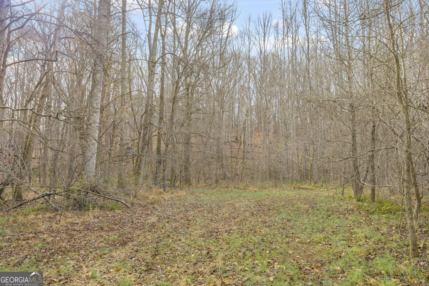 2460 Antioch Church Road Watkinsville, GA 30677 - Photo 41 of 42