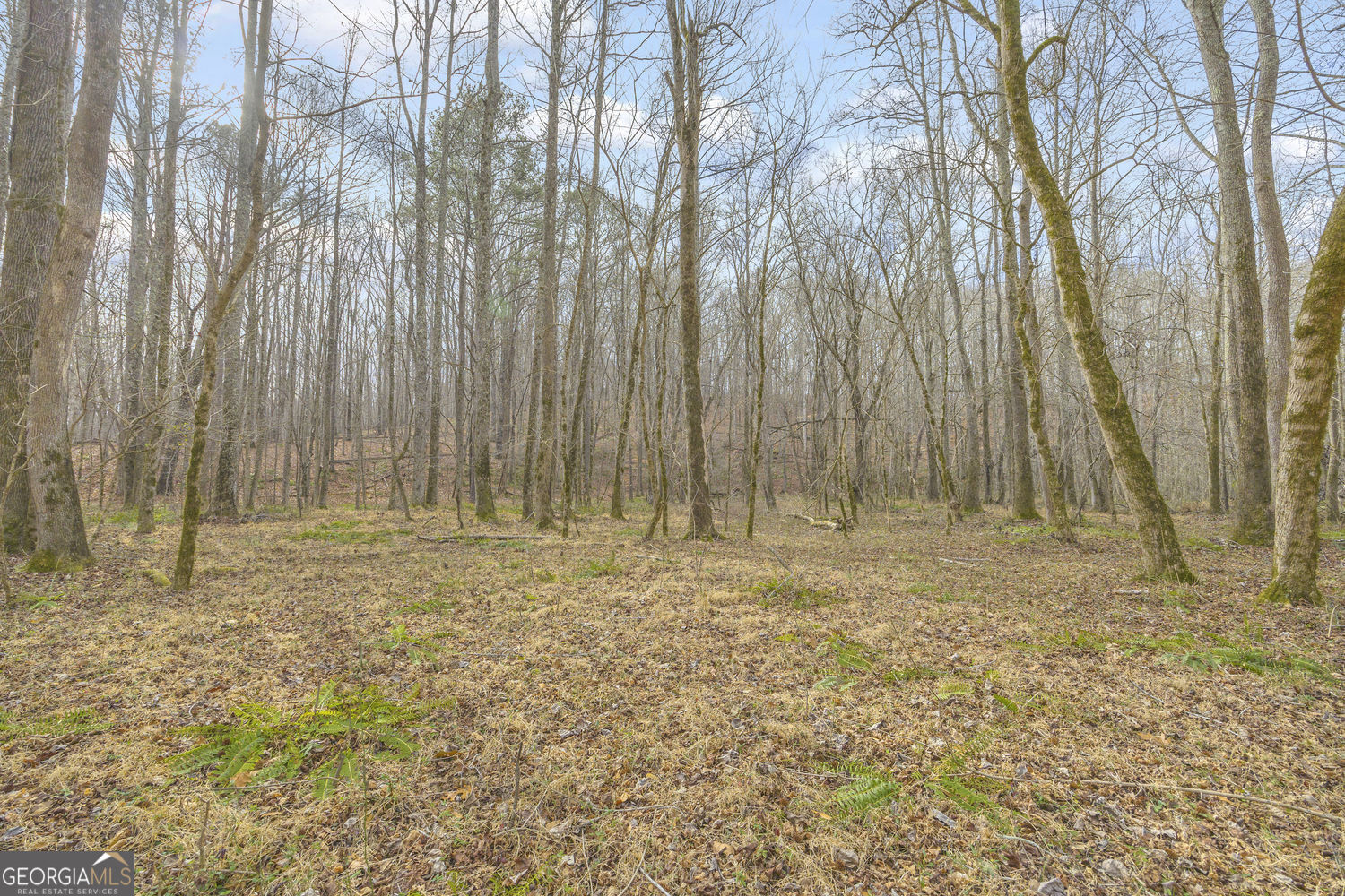 2460 Antioch Church Road Watkinsville, GA 30677 - Photo 42 of 42