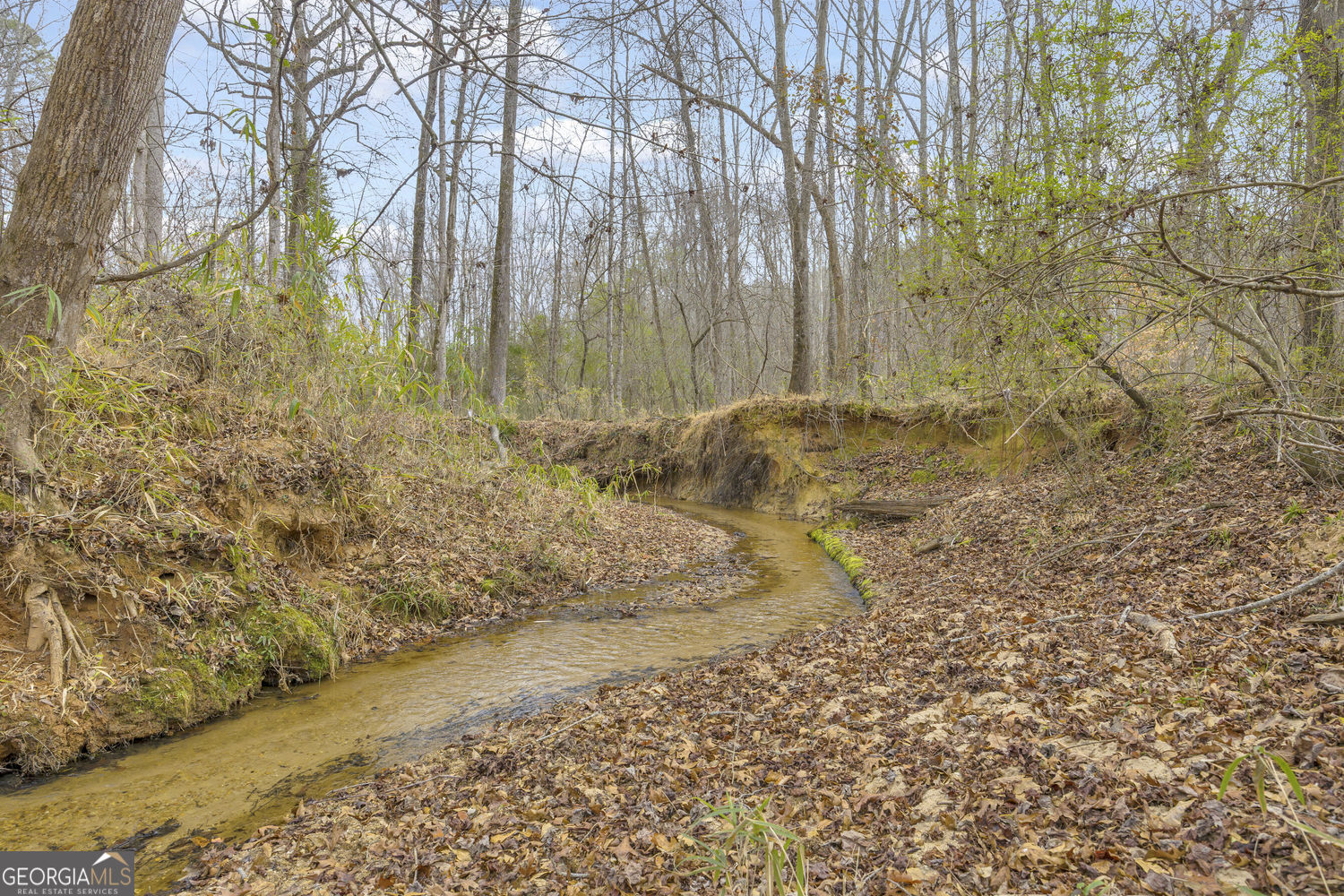 2460 Antioch Church Road Watkinsville, GA 30677 - Photo 7 of 42 Little Rose Creek