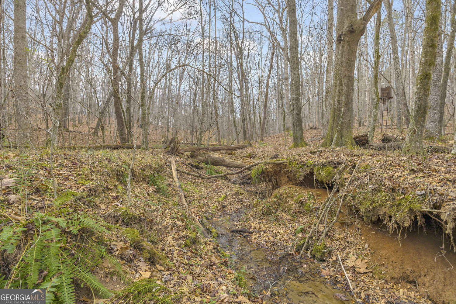 2460 Antioch Church Road Watkinsville, GA 30677 - Photo 8 of 42 Spring Fed Creek