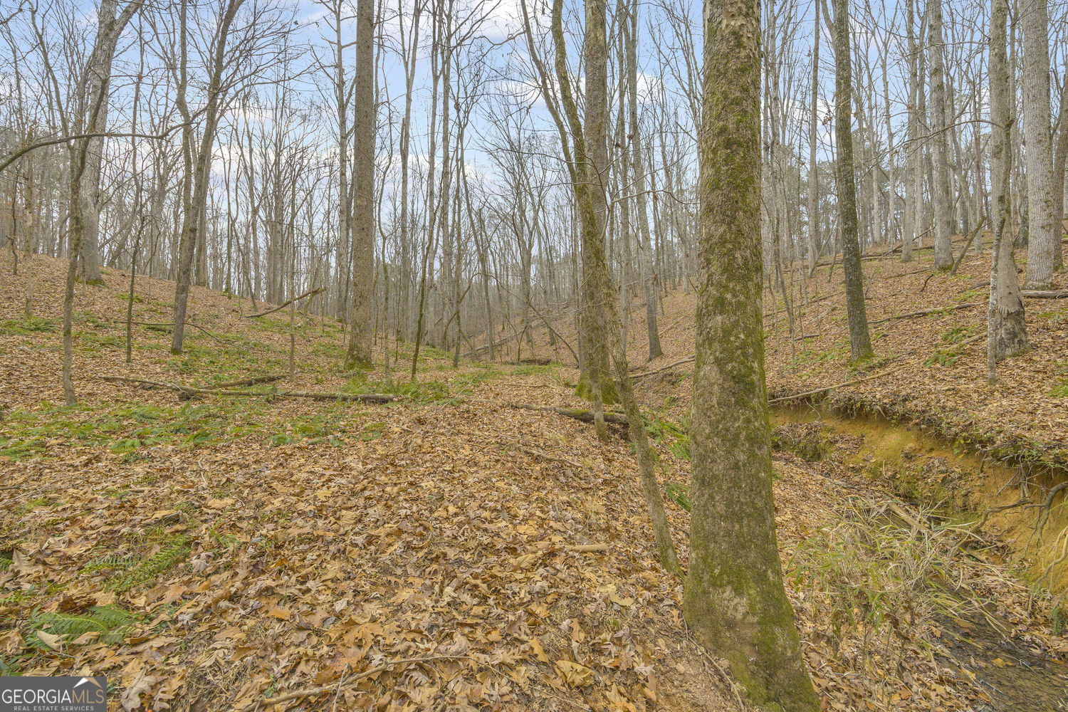 2460 Antioch Church Road Watkinsville, GA 30677 - Photo 9 of 42 Spring Fed Creek