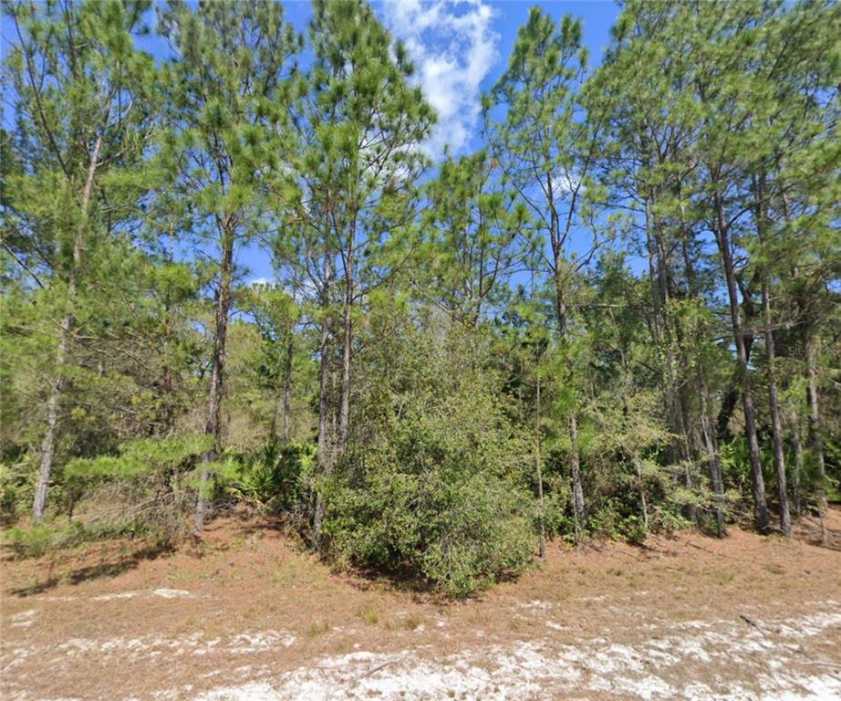 410 Carteret Road Georgetown, FL 32139 - Photo 1 of 1 Gallery Image 1