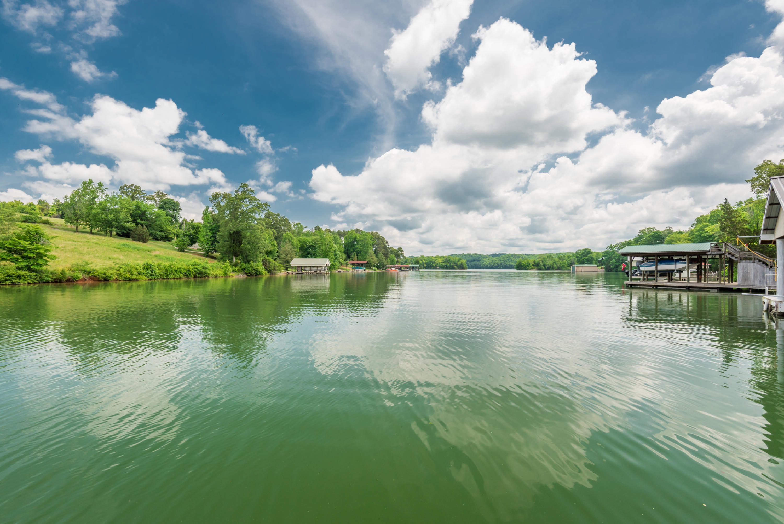 1093 Groover Road Spring City, TN 37381 - Photo 42 of 57 1093GrooverRd-40