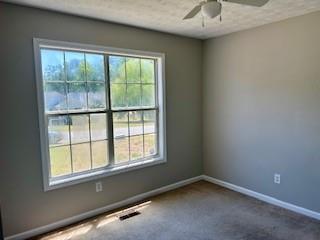 234 Jamie Court Winder, GA 30680 - Photo 9 of 20