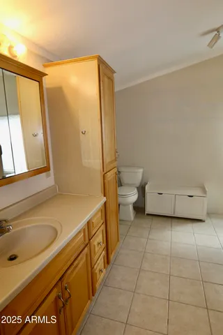 a bathroom with a sink a toilet and a mirror