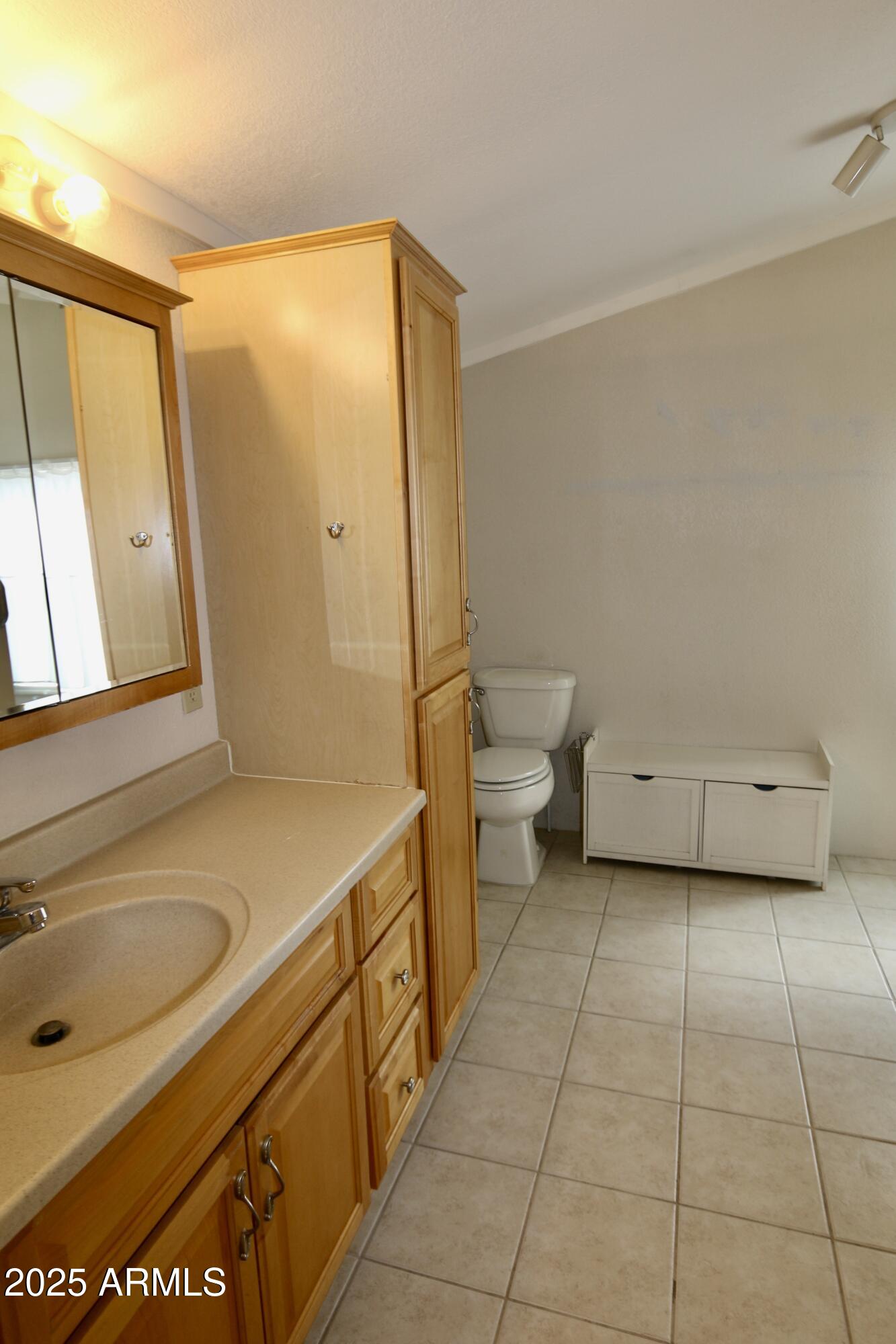 2701 East Utopia Road, Unit 208 Phoenix, AZ 85050 - Photo 14 of 22 a bathroom with a sink a toilet and a mirror