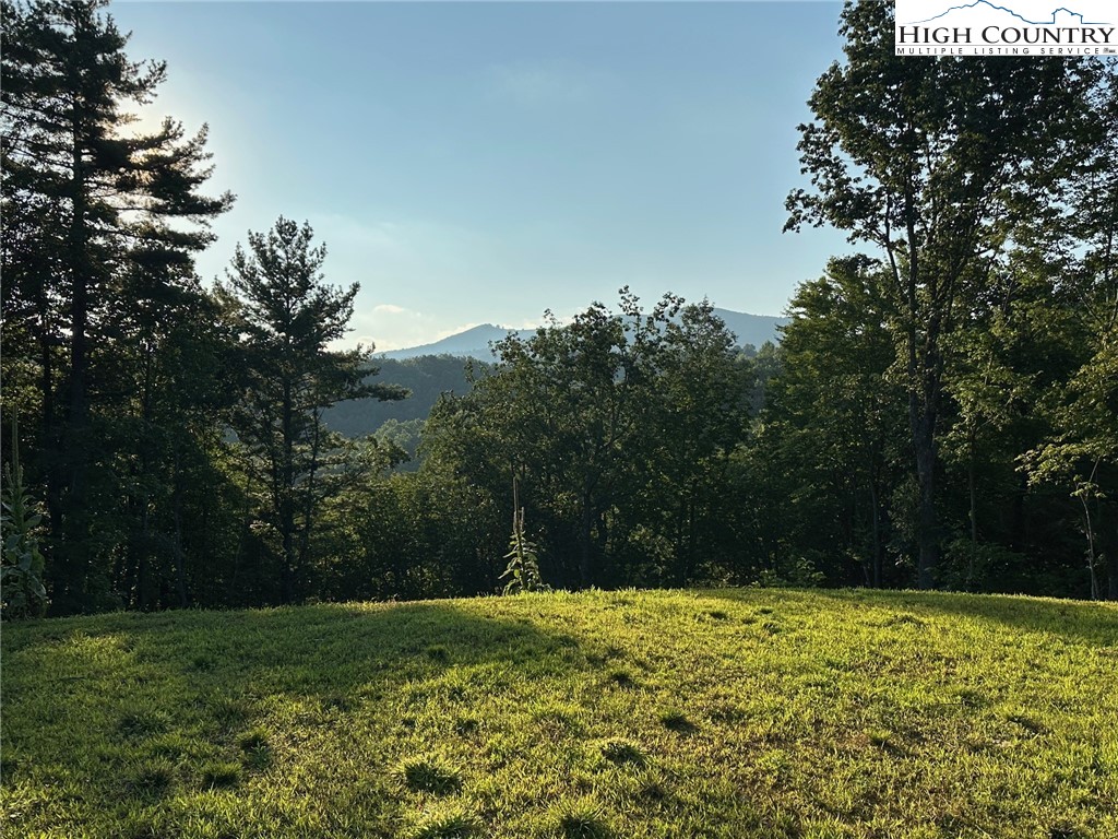 15 Little Rock Canyon Road Lenoir, NC 28645 - Photo 8 of 9