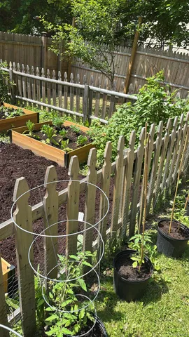 a view of a swimming pool with a garden