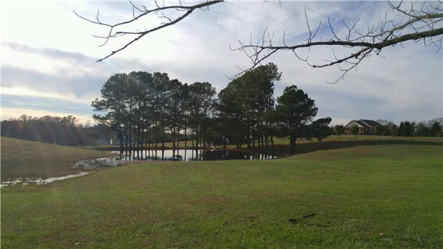 269 Calvert Ridge Road Westmoreland, TN 37186 - Photo 17 of 18