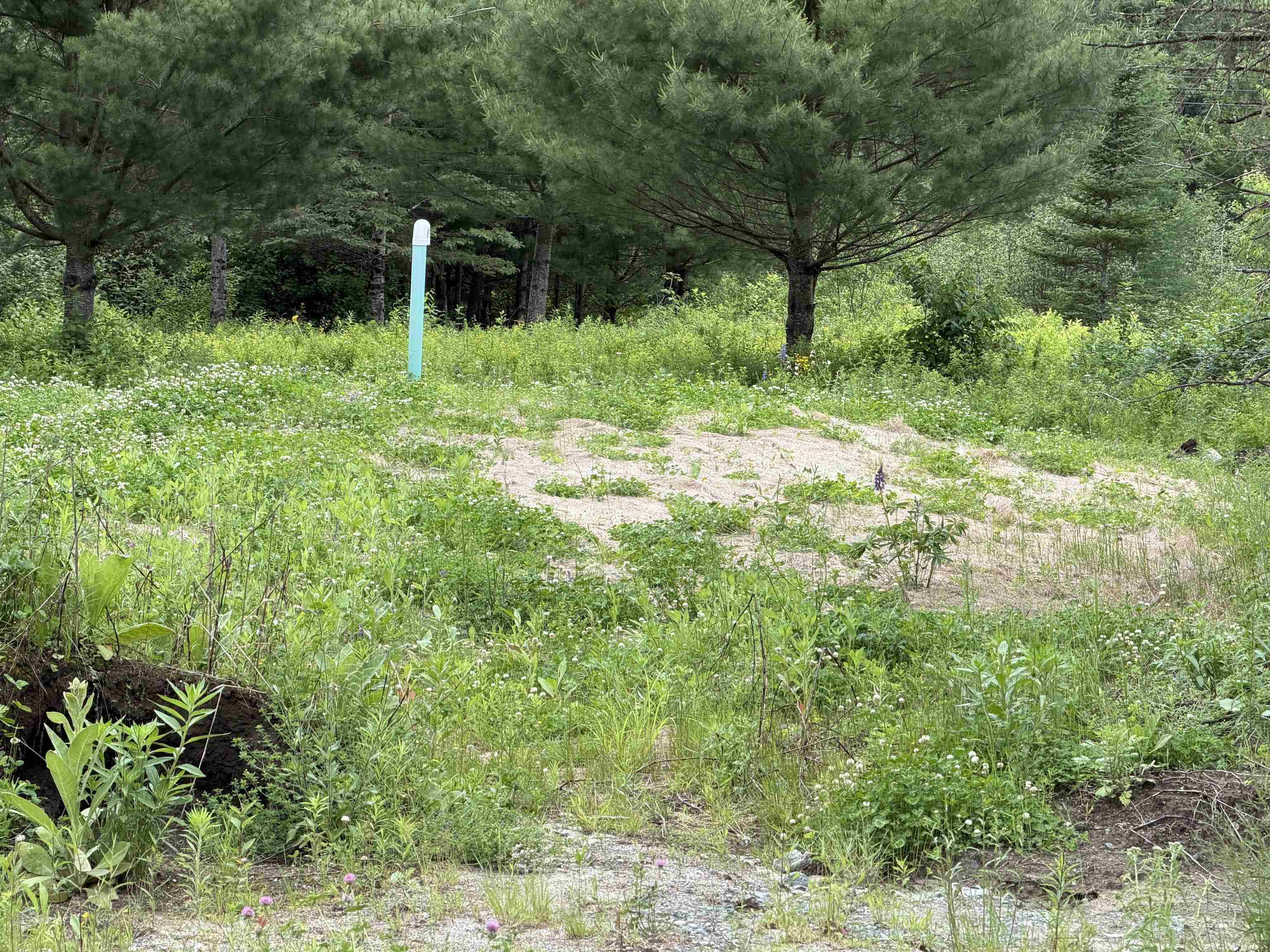 153 Garland Road Lancaster, NH 03584 - Photo 9 of 28 Gallery Image 9