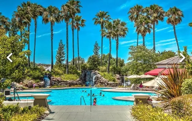 a view of a garden with a palm tree