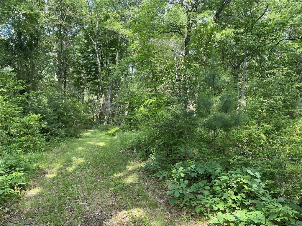 0 Dann Farm Road Pound Ridge, NY 10576 - Photo 1 of 1 a view of a lush green forest
