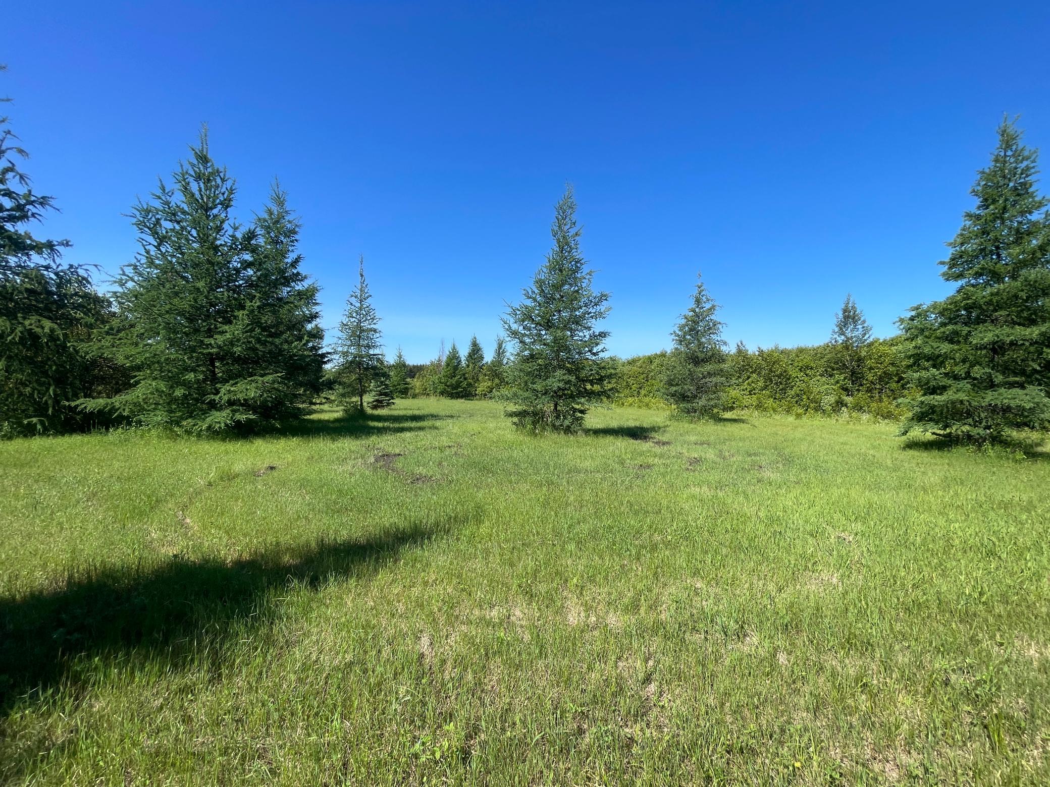 Tbd 440th Avenue Roseau, MN 56751 - Photo 60 of 80