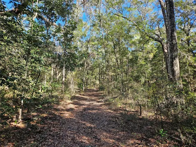 a view of outdoor space and a yard