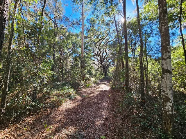 a view of a yard with a tree
